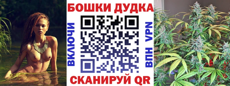 Конопля сатива  Пустошка 
